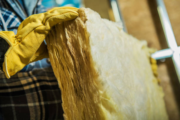 Types of Insulation We Offer in Daytona Beach Shores, FL