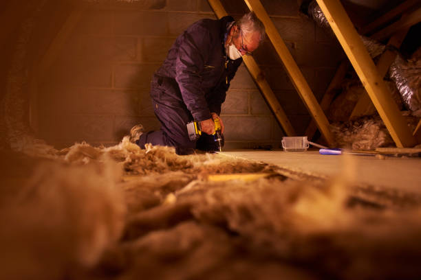 Best Geographic-Specific Insulation Services in Daytona Beach Shores, FL